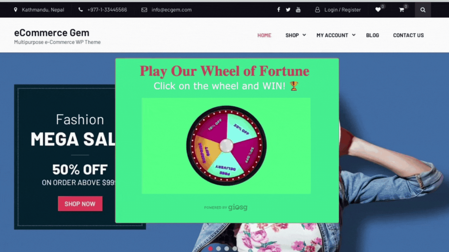 Gamification examples of wheel of fortune game